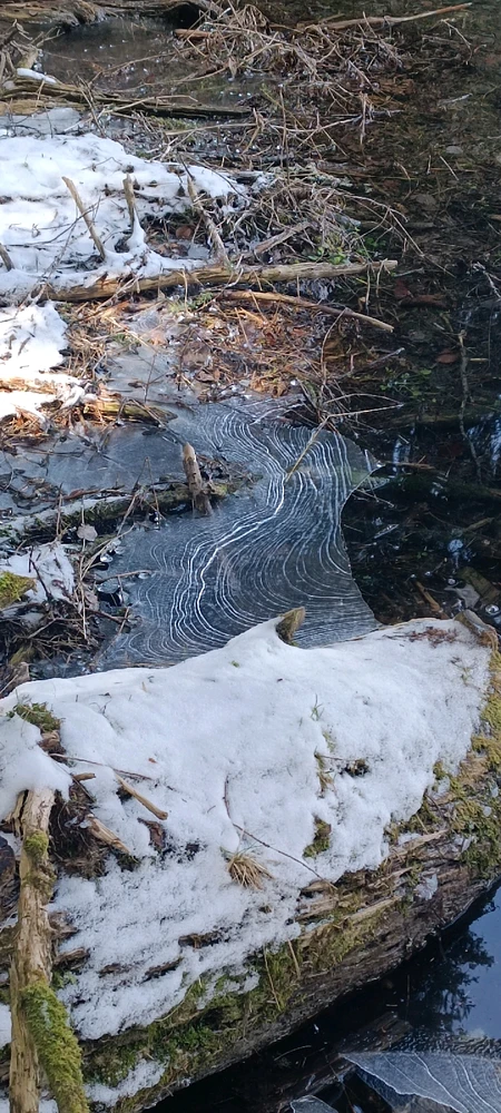 Image uploaded by Nikita