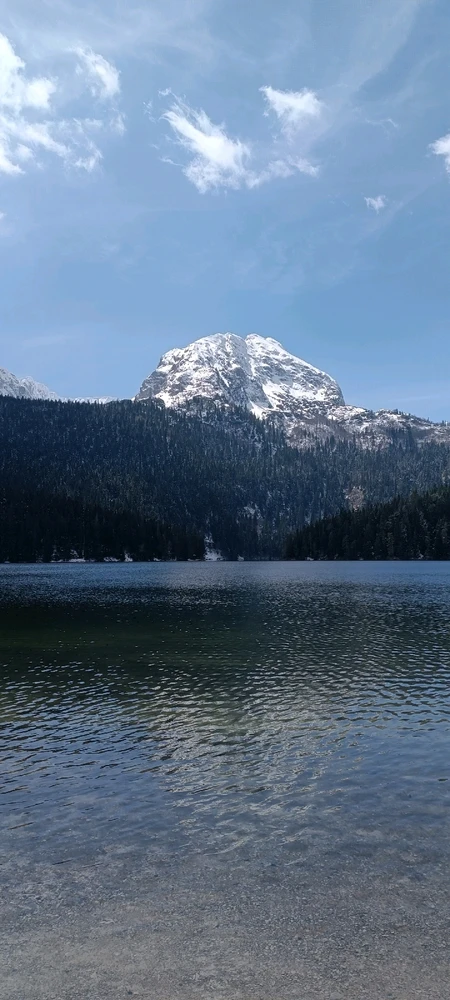 Image uploaded by Nikita