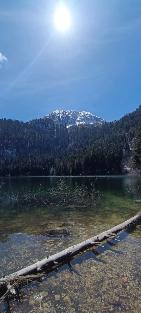 Image uploaded by Nikita