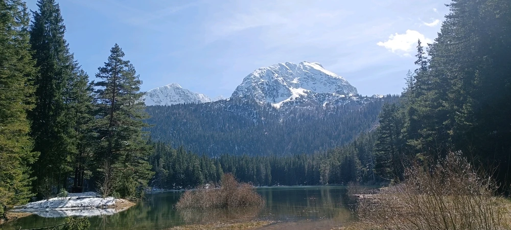 Image uploaded by Nikita