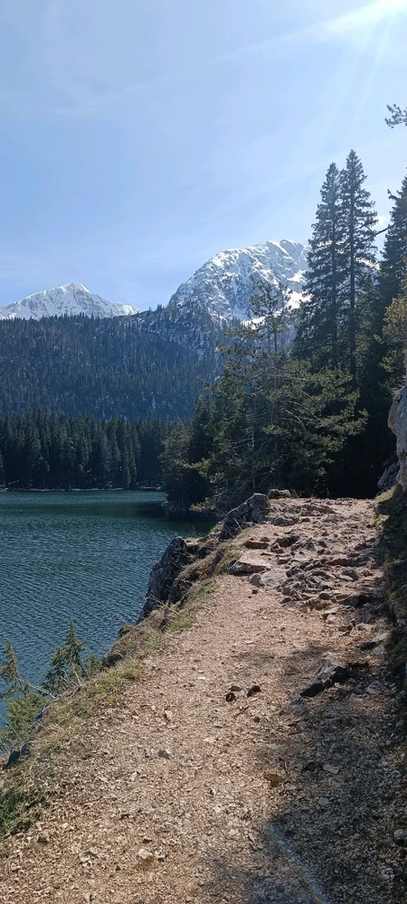 Image uploaded by Nikita