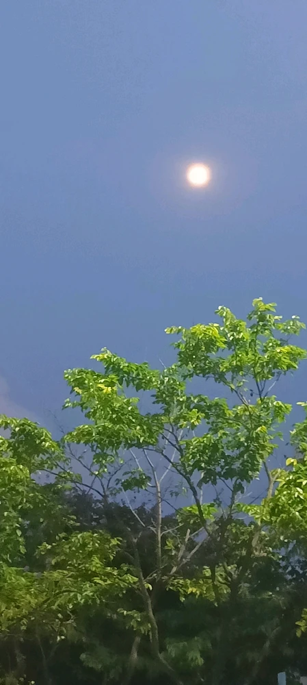 GIF uploaded by Dalia Chakraborthy