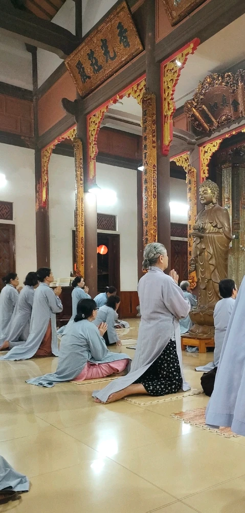 Thảo上傳的圖片