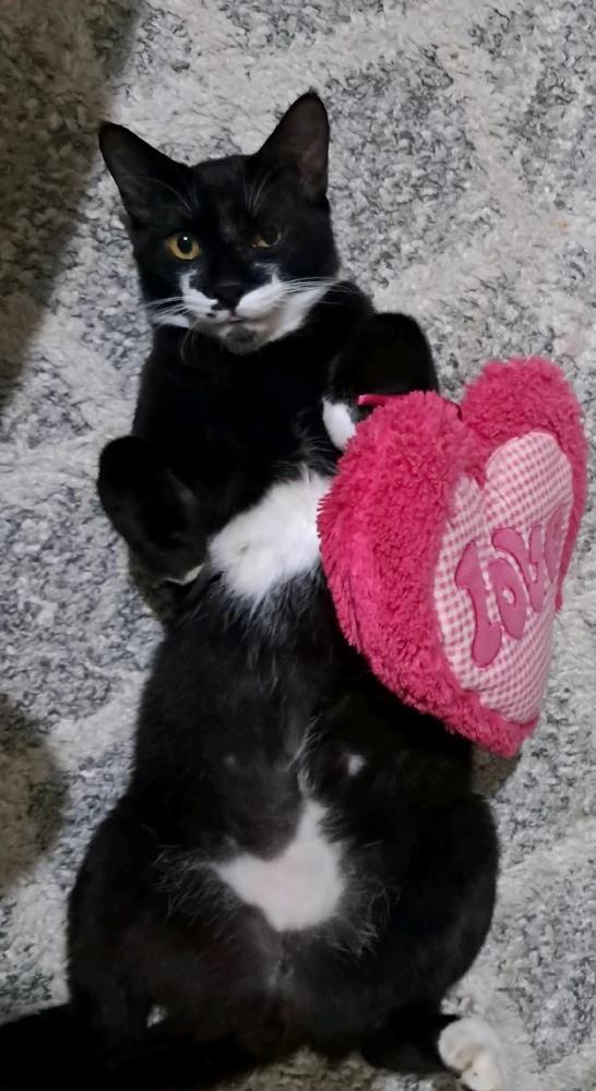 GIF uploaded by Aly