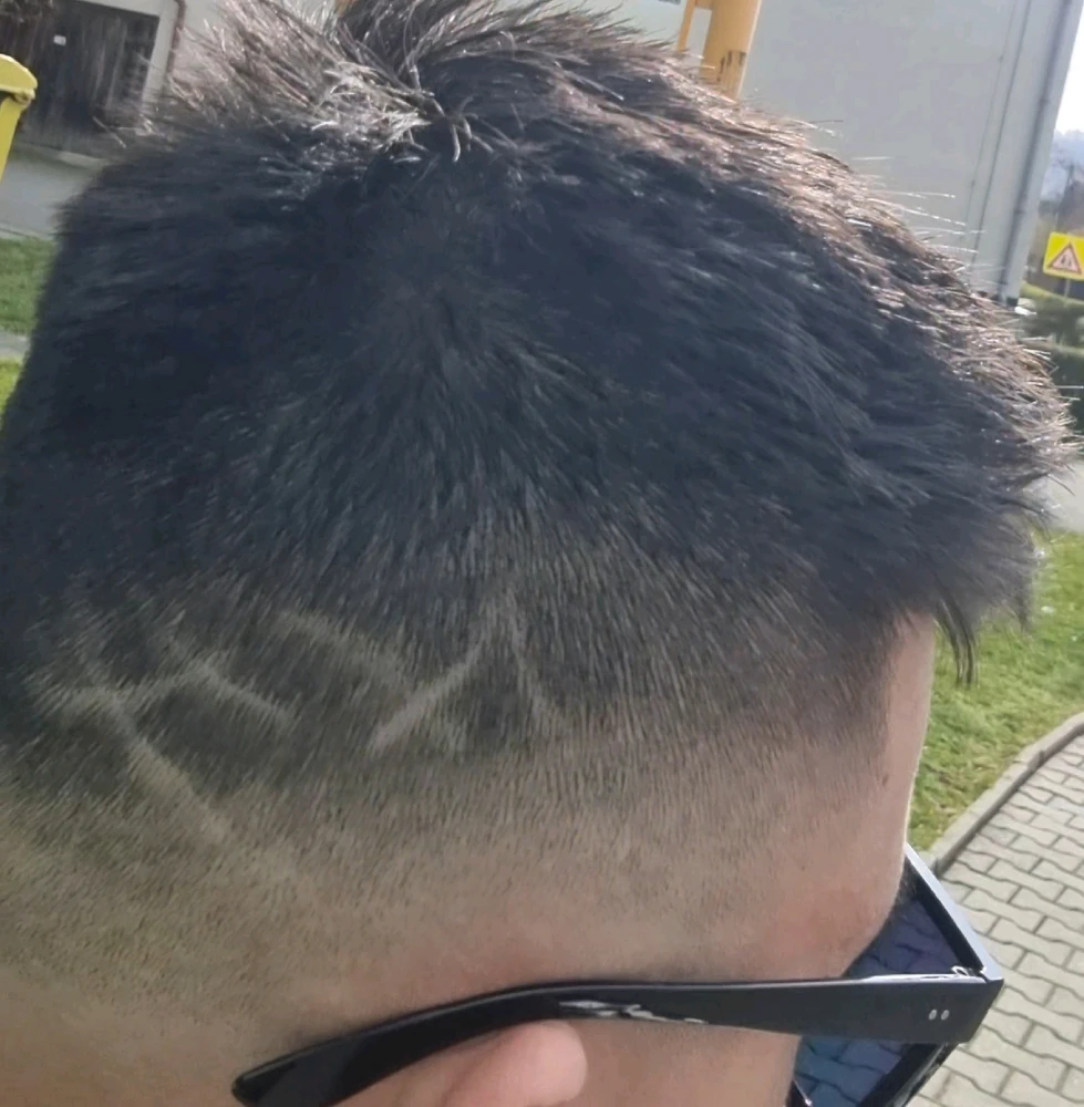 Obrázek nahrál Fidly