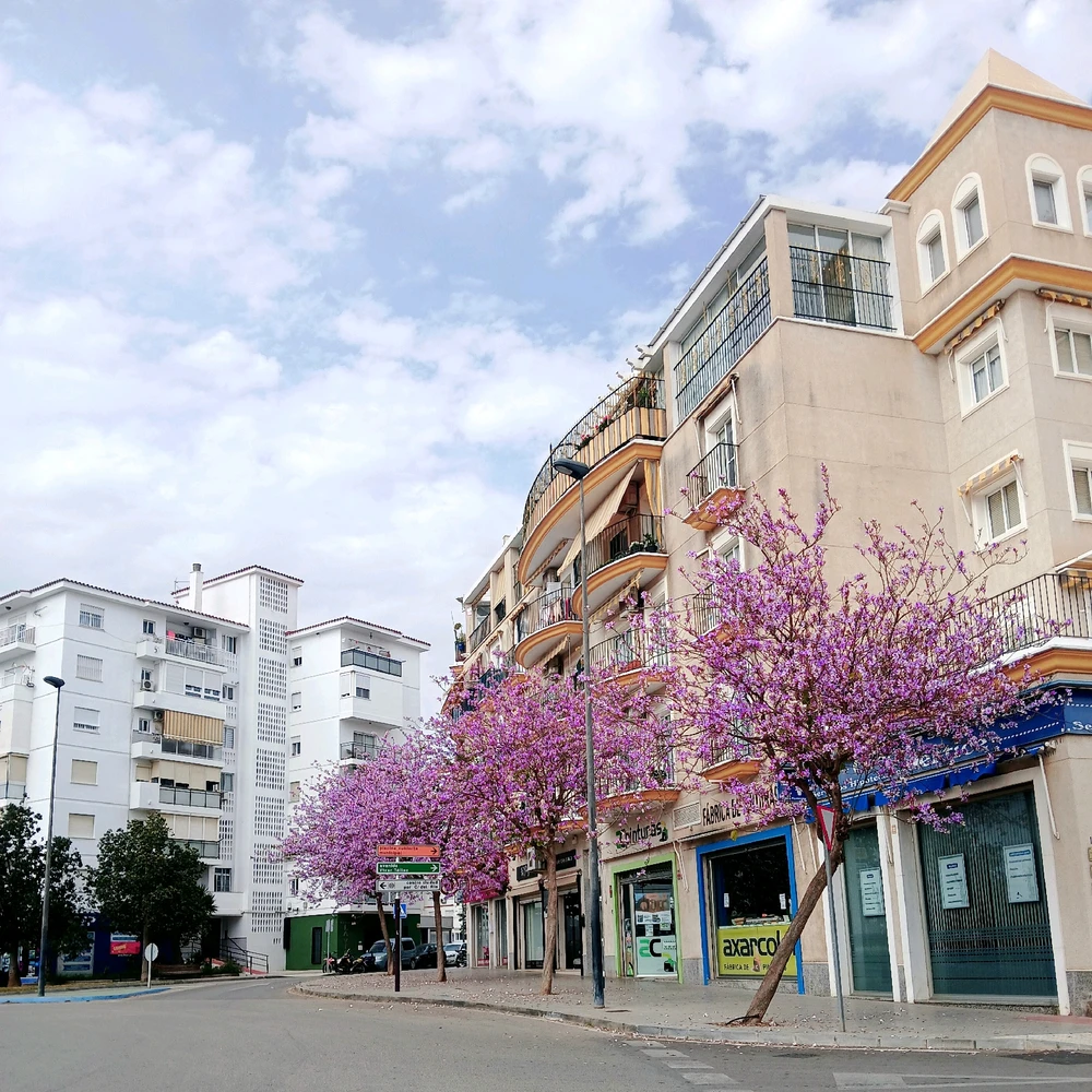 GIF subido por ℙ𝕒𝕔𝕠