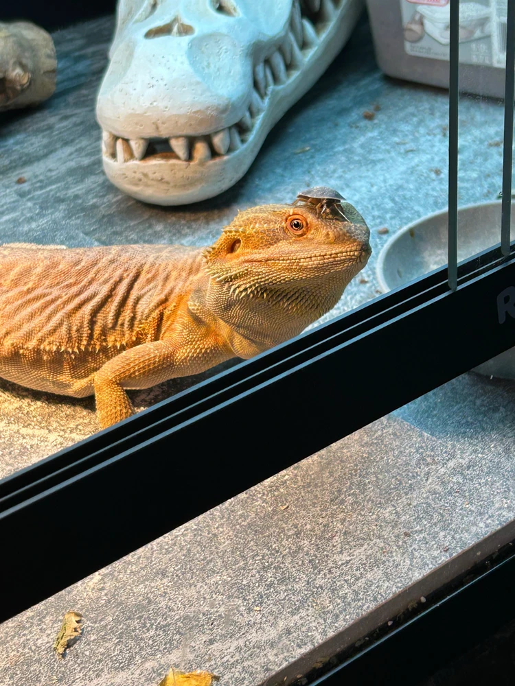 GIF uploaded by Derrick