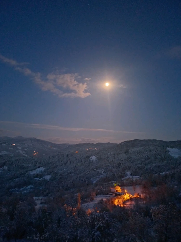 Ayçiçeği tarafından yüklenen görsel
