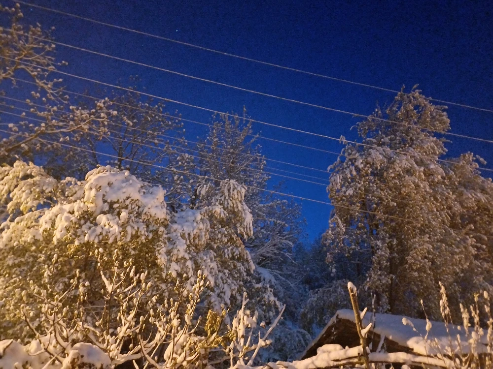 Ayçiçeği tarafından yüklenen görsel