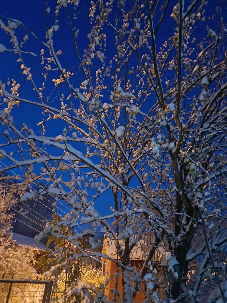 Ayçiçeği tarafından yüklenen görsel
