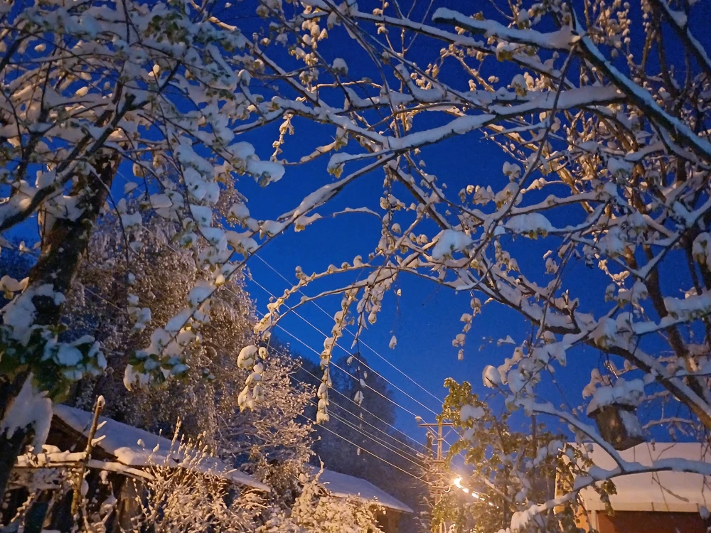 Ayçiçeği tarafından yüklenen görsel