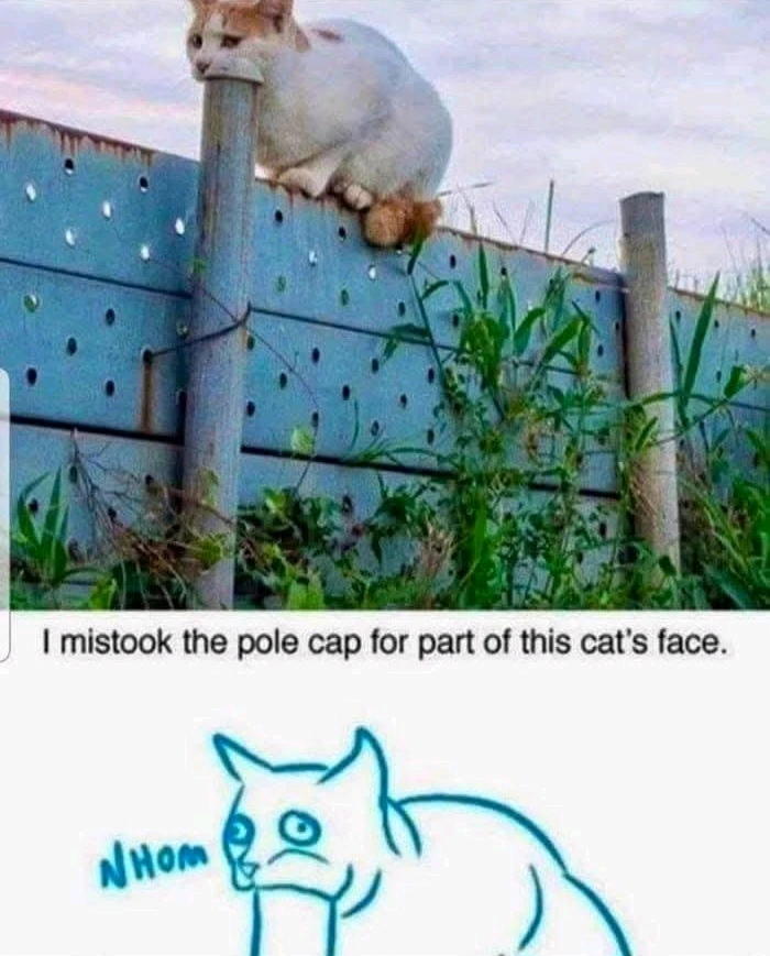 GIF hochgeladen von Doris