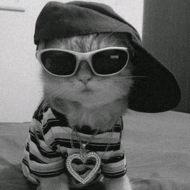 تصویر آپلود شده توسط علی کریمی