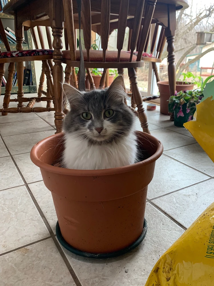 GIF uploaded by Jack