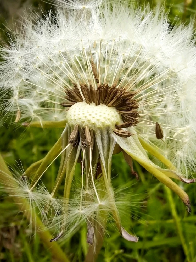 GIF качен от Angel