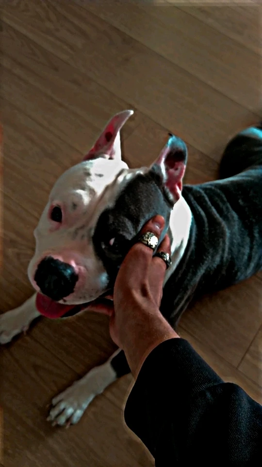 GIF رفعها Ahmed 卍