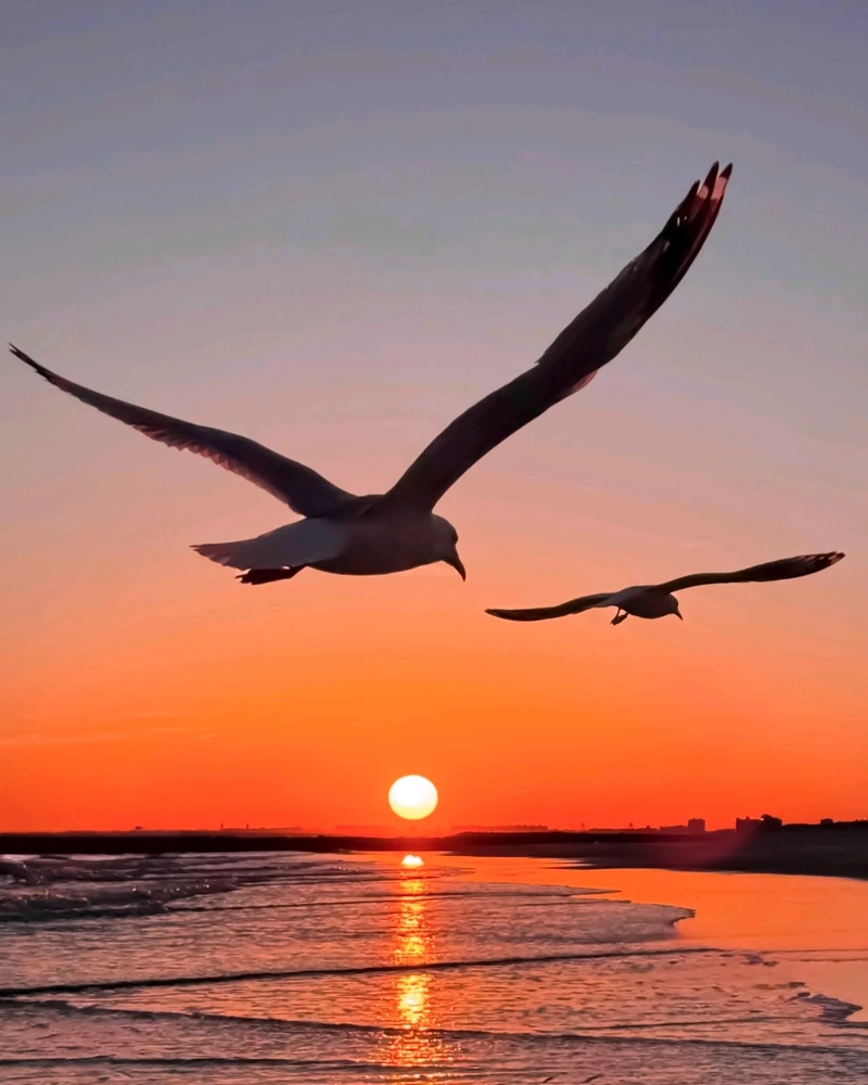 GIF uploaded by Liza