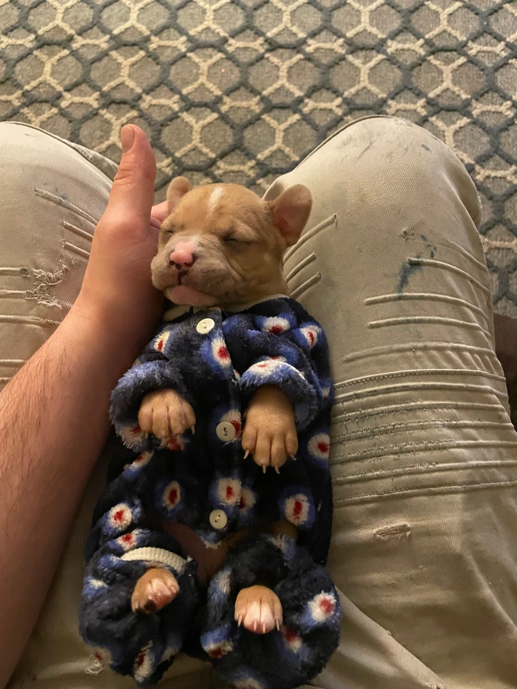 Image uploaded by Emelio