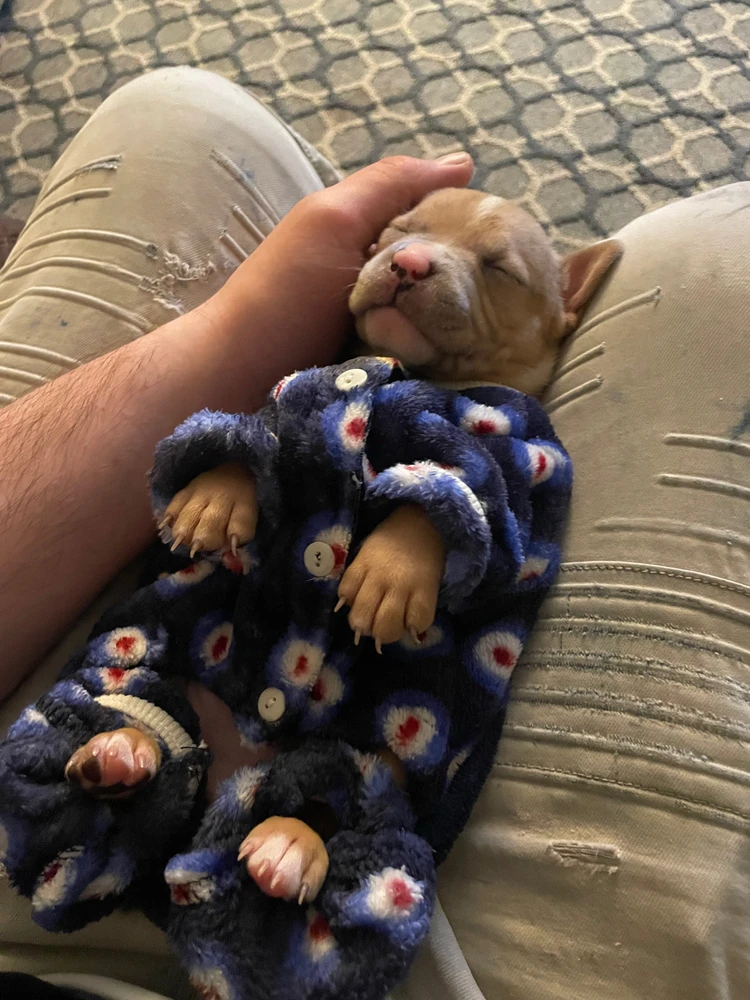 Image uploaded by Emelio