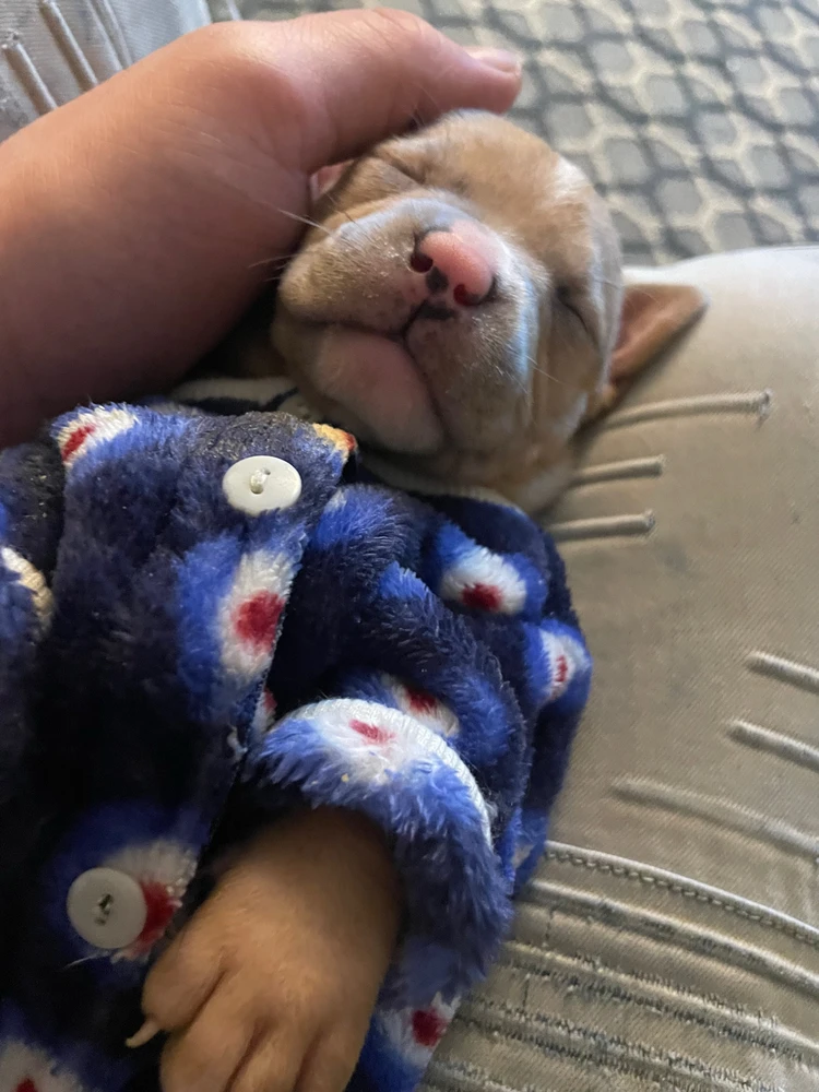 Image uploaded by Emelio