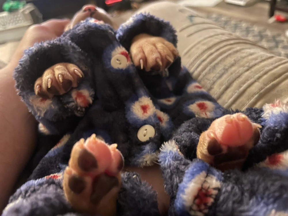 Image uploaded by Emelio