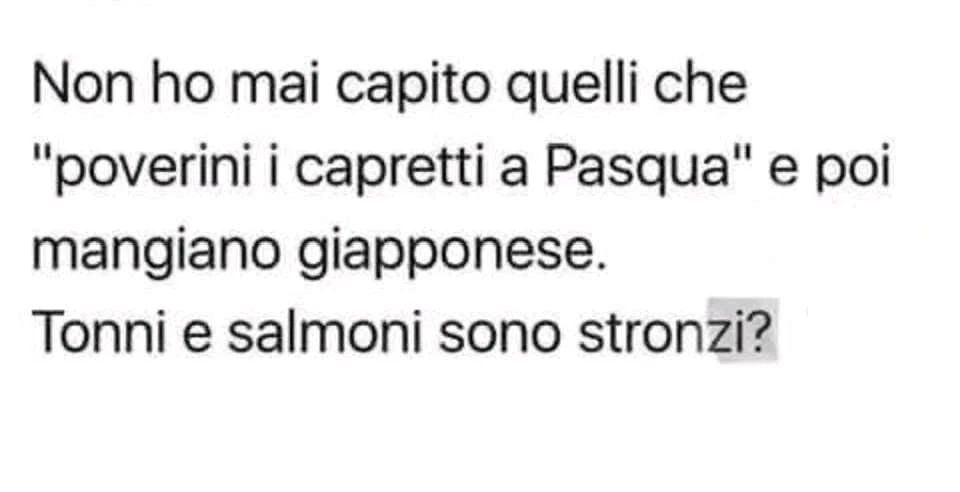 GIF caricata da ꪑꪖ᥅ᥴꪮ🦉