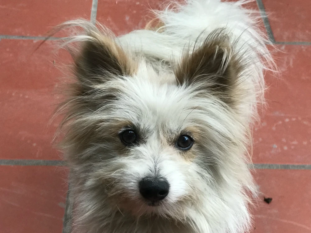 GIF được Hải Anh tải lên