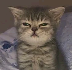 Image uploaded by Michelle