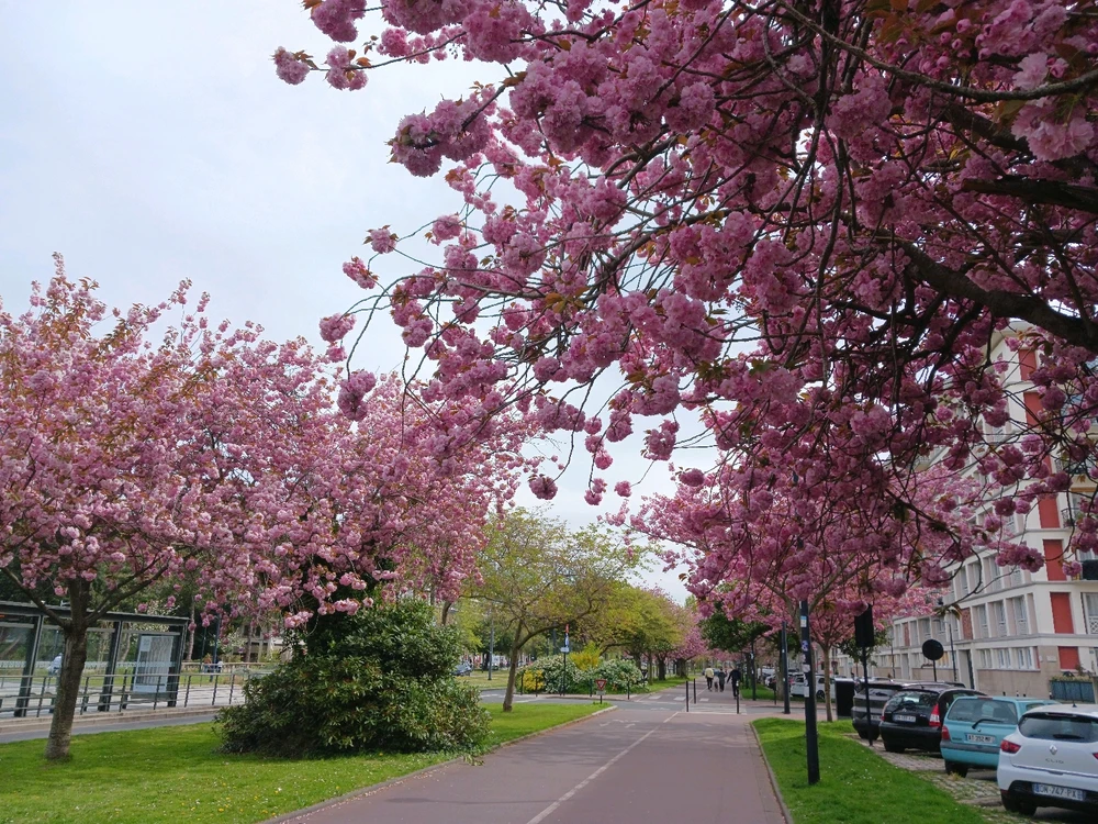 GIF ajouté par Vivi