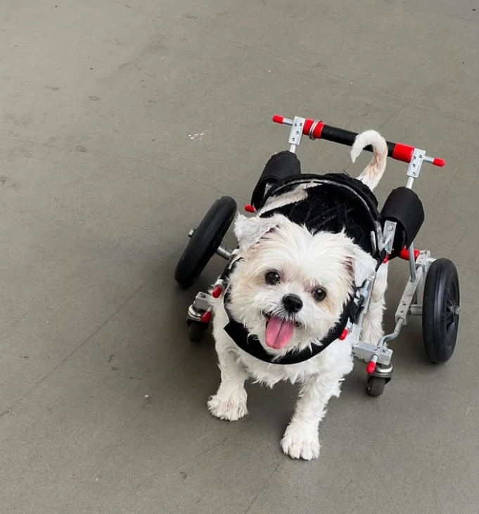 わたなべ かずきがアップロードした画像