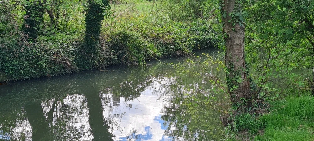 Image ajoutée par Mymy