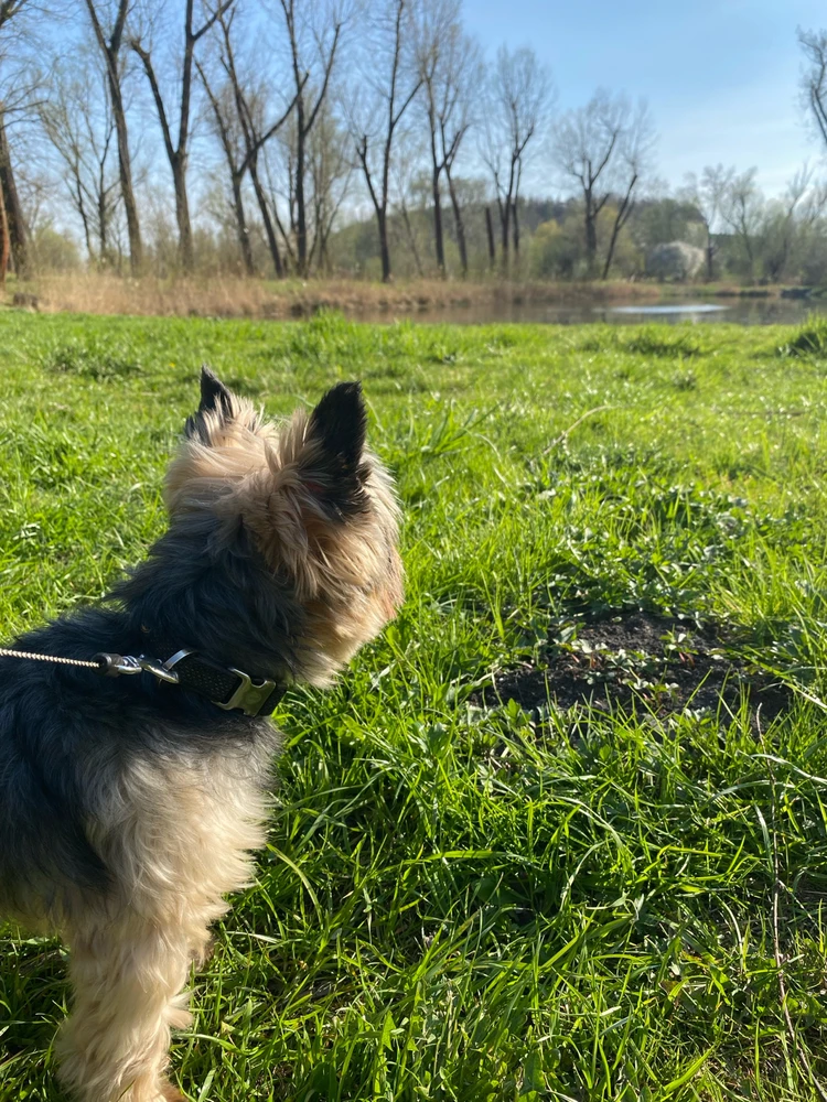 Obrázek nahrál Michaela