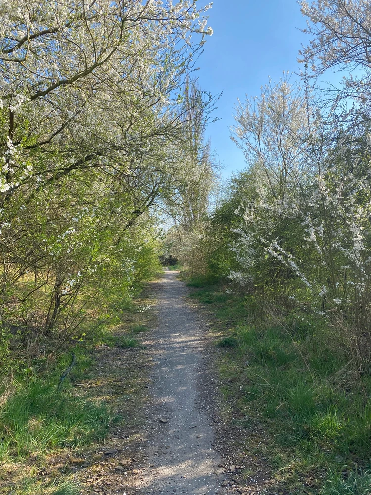 Obrázek nahrál Michaela