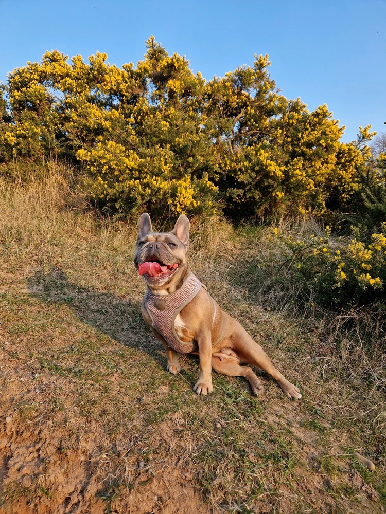 GIF diunggah dening Callum