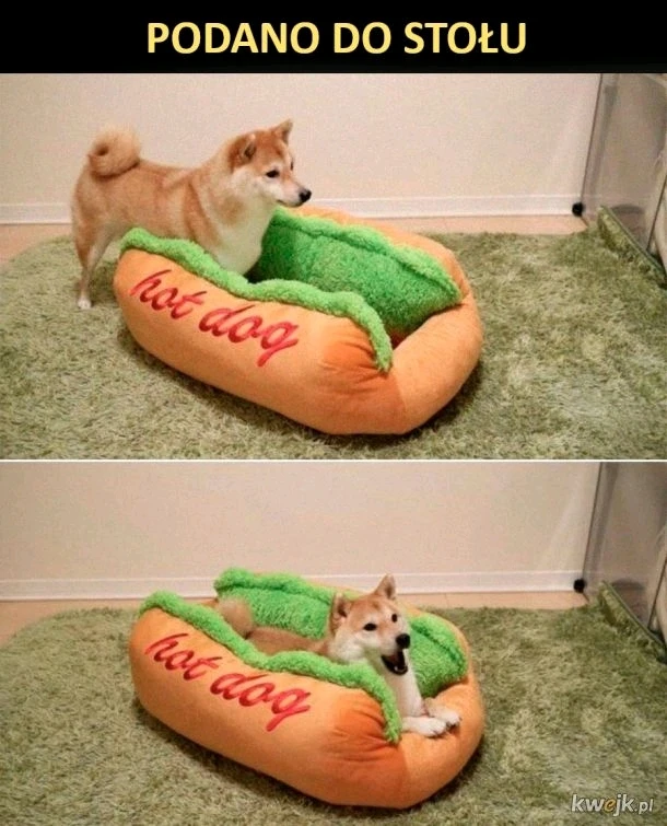 GIF dodany przez Asia