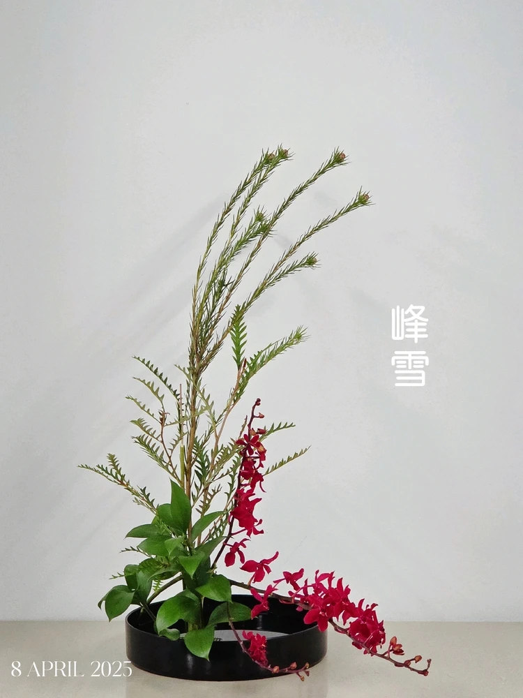 Image uploaded by YT