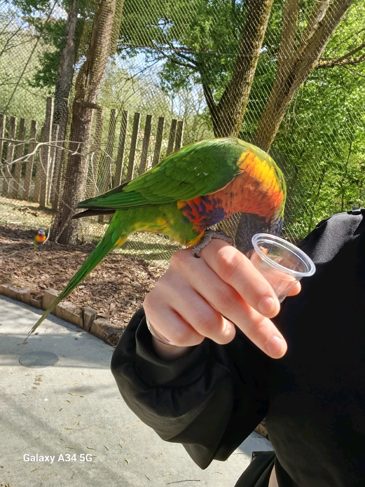 Image ajoutée par Laura