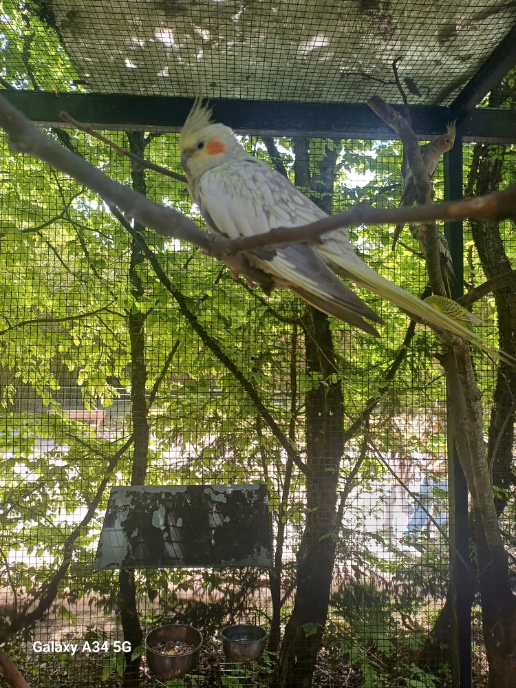 Image ajoutée par Laura