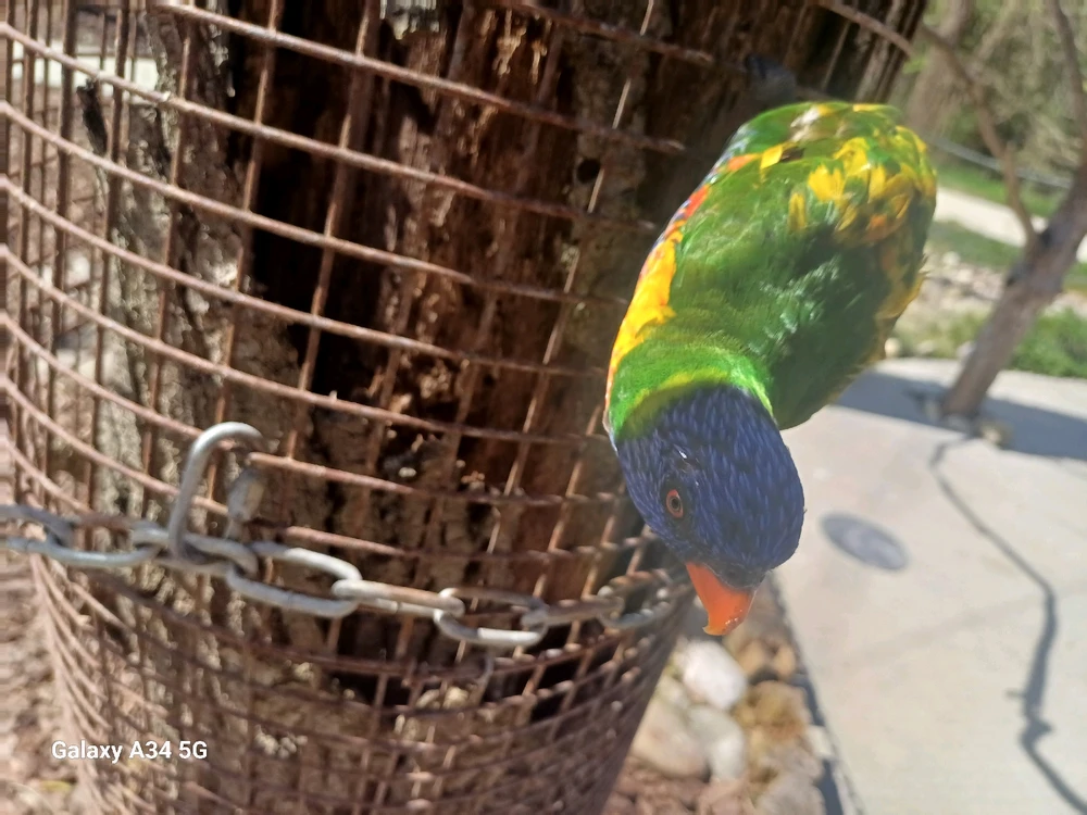 Image ajoutée par Laura