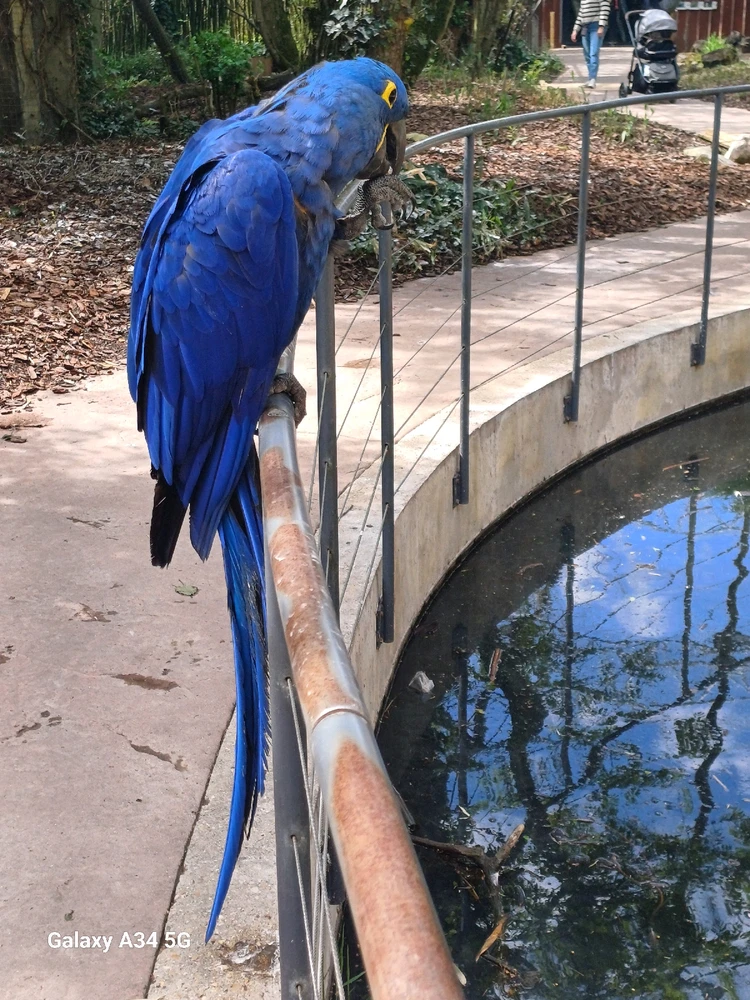 Image ajoutée par Laura