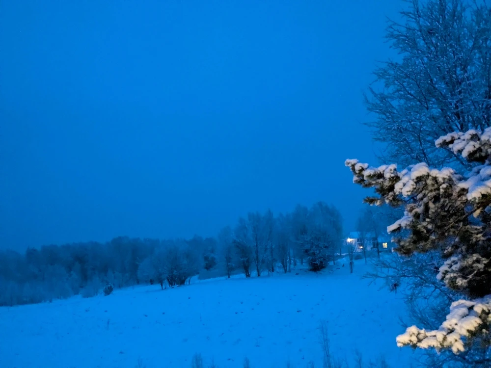 Image uploaded by Eivind