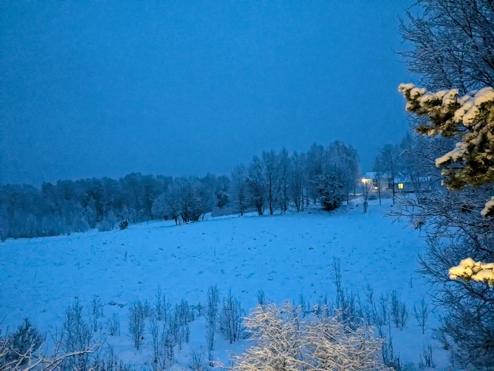 Image uploaded by Eivind