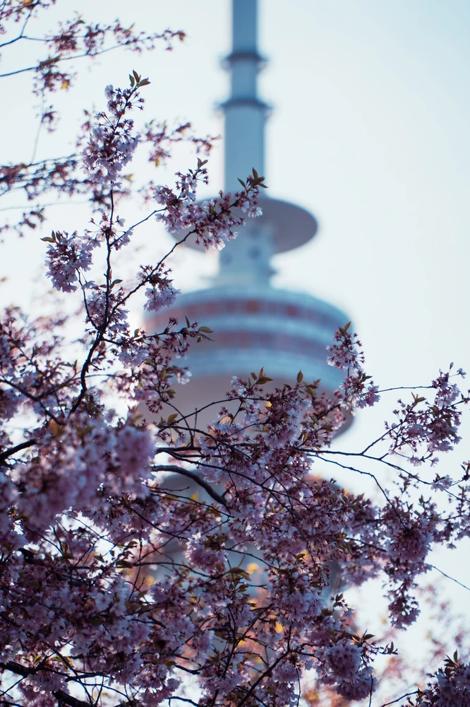 Image uploaded by Saurav