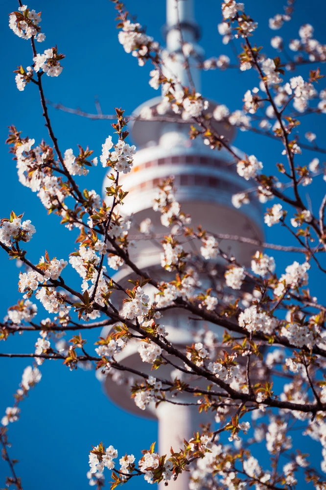 Image uploaded by Saurav