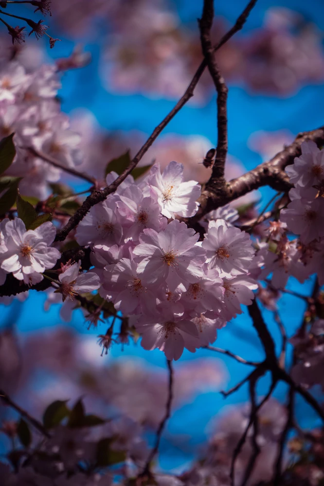 Image uploaded by Saurav