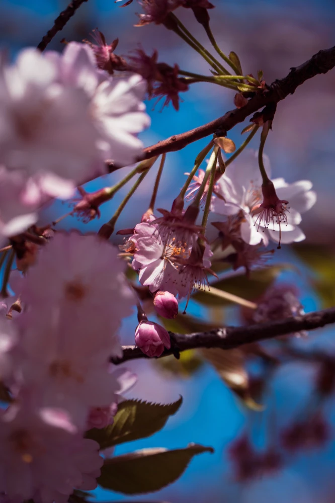 Image uploaded by Saurav