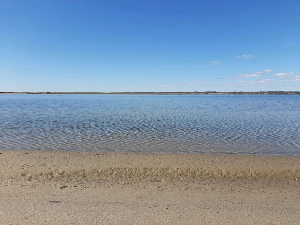 GIF uploaded by Simon