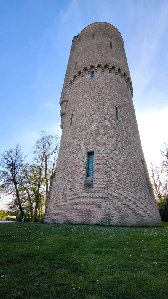 Image uploaded by Pablo