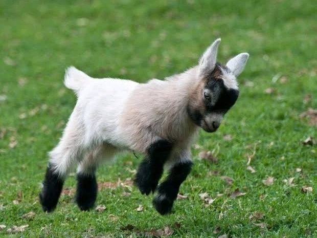 Image uploaded by 𝓢𝓮𝓻𝓮𝓷 • 𝓢𝓮𝓻𝓮𝓷𝓭𝓲𝓹𝓲𝓽𝔂