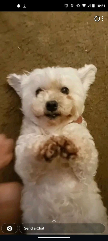 GIF uploaded by Frederick